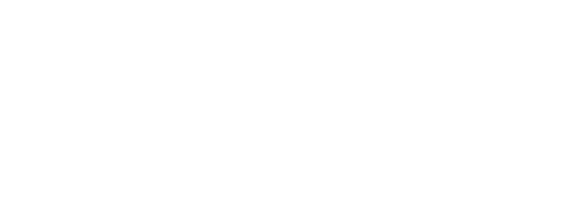 Borella Motors